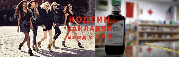 ГАЛЛЮЦИНОГЕННЫЕ ГРИБЫ Богданович