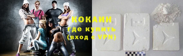 гидра Богородск