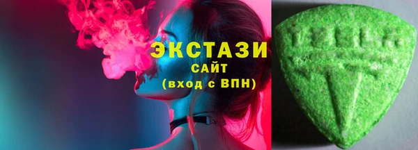 гидра Богородск