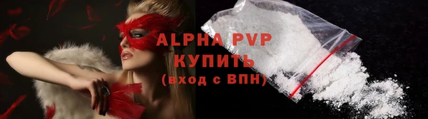 ГАЛЛЮЦИНОГЕННЫЕ ГРИБЫ Богданович