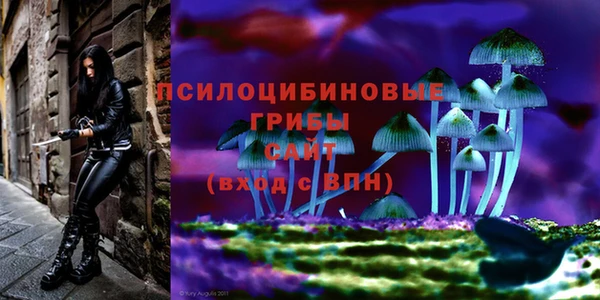 гидра Богородск