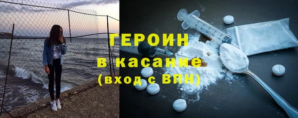 гидра Богородск