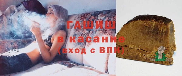 гидра Богородск