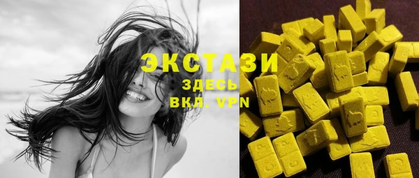 ГАЛЛЮЦИНОГЕННЫЕ ГРИБЫ Богданович