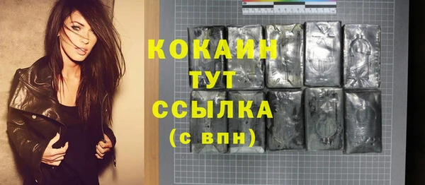 ГАЛЛЮЦИНОГЕННЫЕ ГРИБЫ Богданович