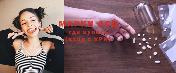 гидра Богородск